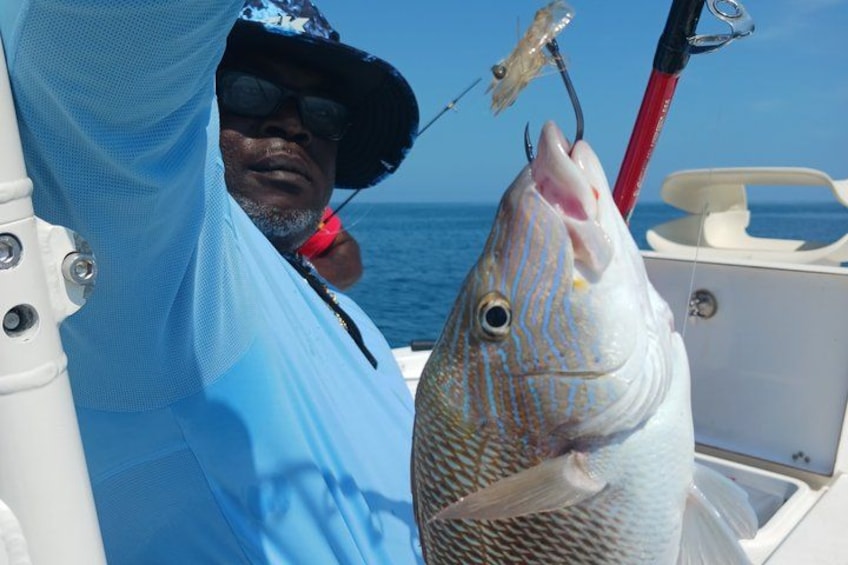 Private 4 hr Fishing Tour with Master Captain Bill Phillips 1