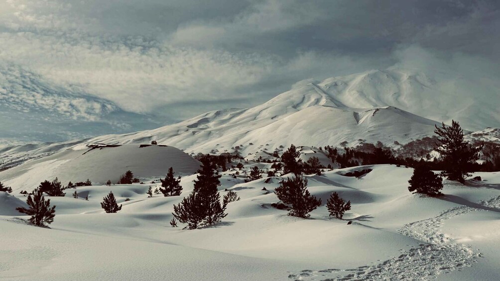 A snow-covered mountain landscape with a prominent snow-covered peak, scattered evergreen trees, and a cloudy sky. 5