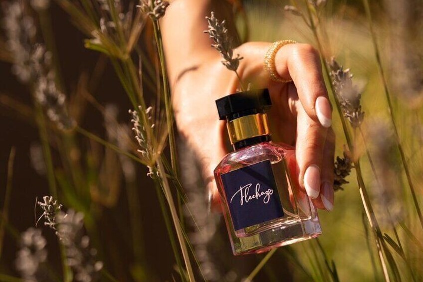 A hand holding a perfume bottle with the label "Pichaze" amidst tall grass. 5