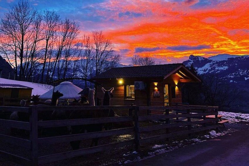 A wooden cabin with a snow-covered ground, surrounded by trees and mountains in the background. 5