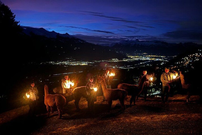 A group of people with lit torches in a mountainous area at night. 3