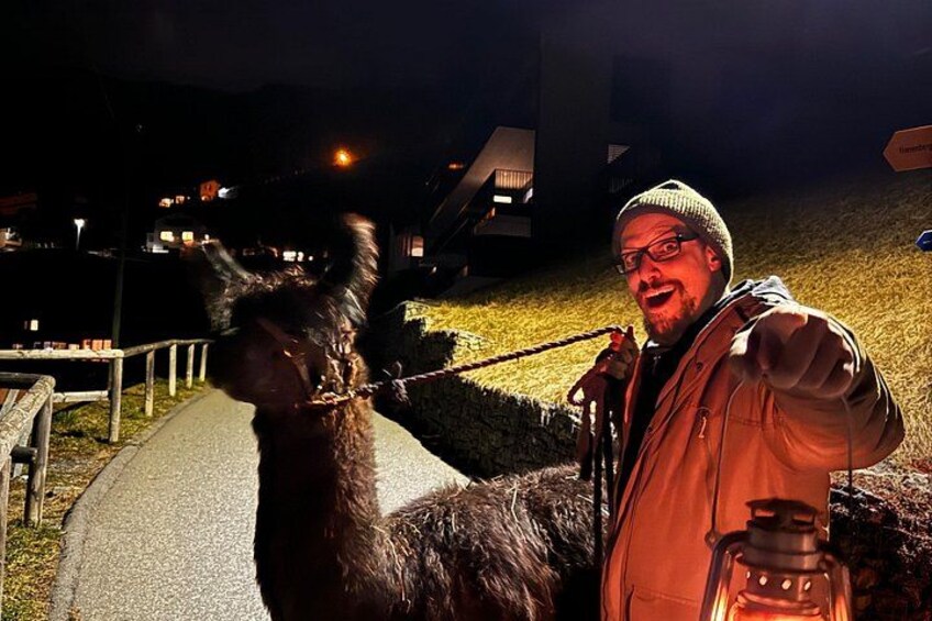 A person with a llama on a leash, a lantern, and a path. 1