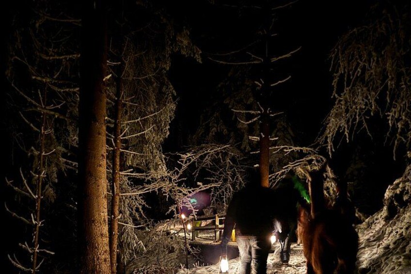 A nighttime scene with a person walking through a forest, a vehicle, and a lit area. 4