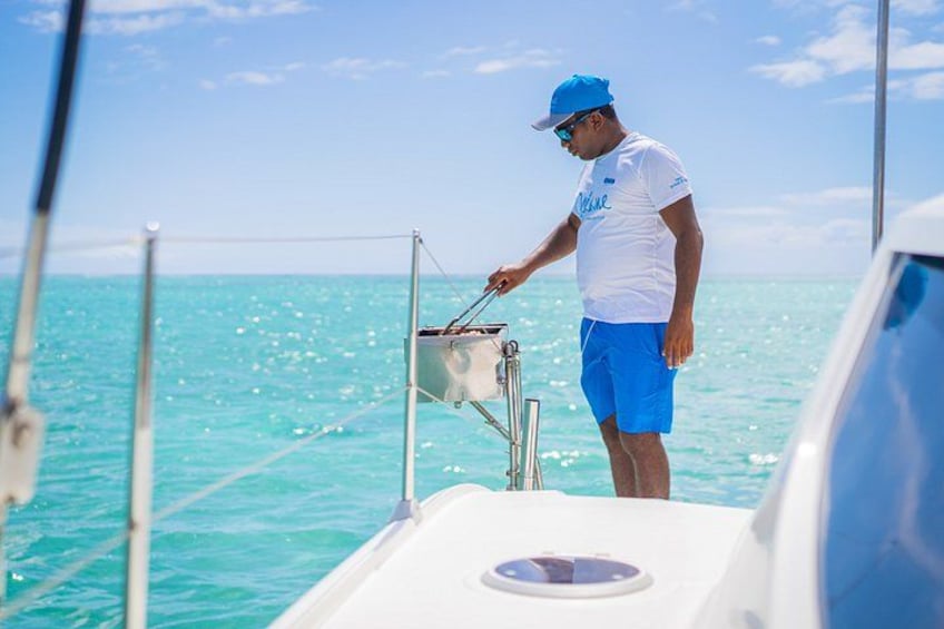 Black River: Full Day shared Catamaran Bénitiers island & Dolphin 2