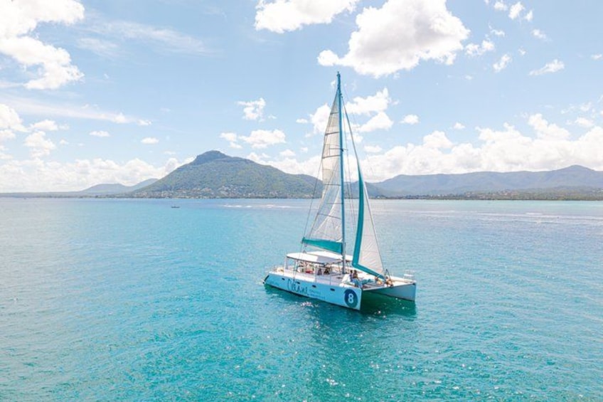 Black River: Full Day shared Catamaran Bénitiers island & Dolphin 2