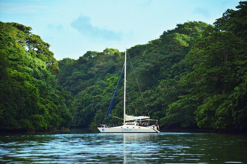 Ile Aux Cerfs full day shared catamaran with BBQ lunch & drinks 5