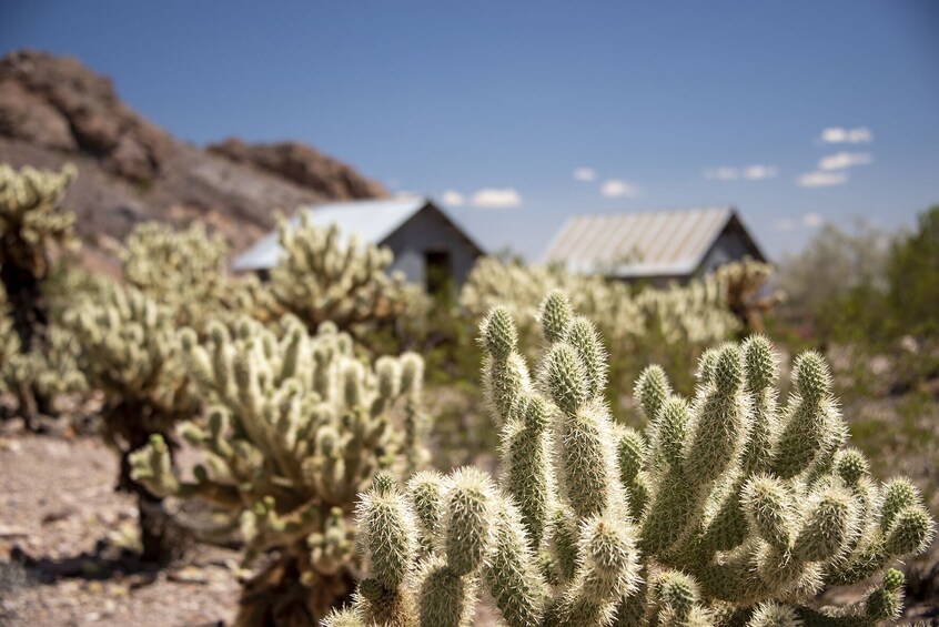 Eldorado Canyon Tour