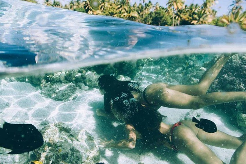 Snorkeling at the coral garden 5
