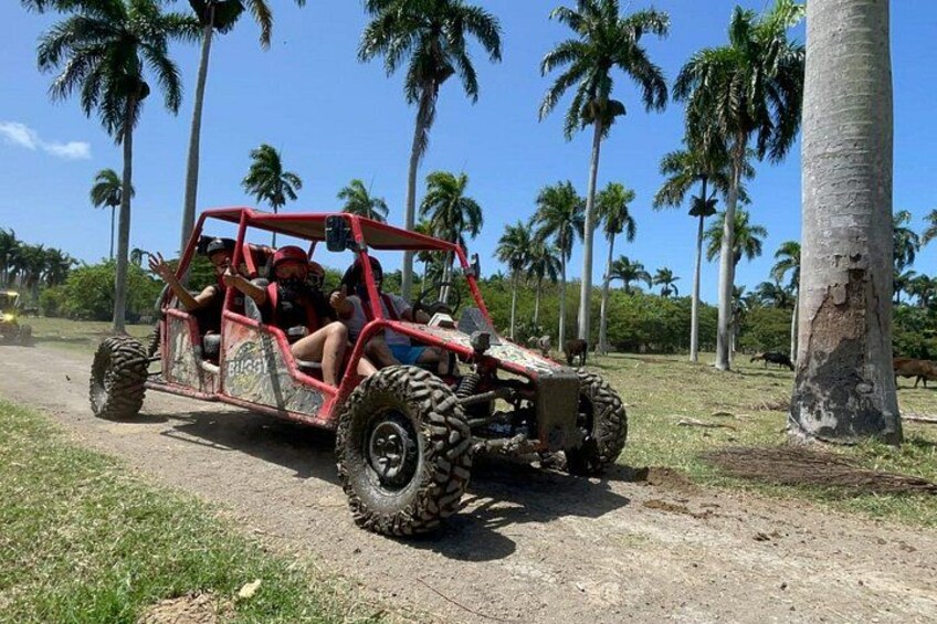 Half-Day Buggy Guided Adventure for Amber Cove and Taino Bay 3