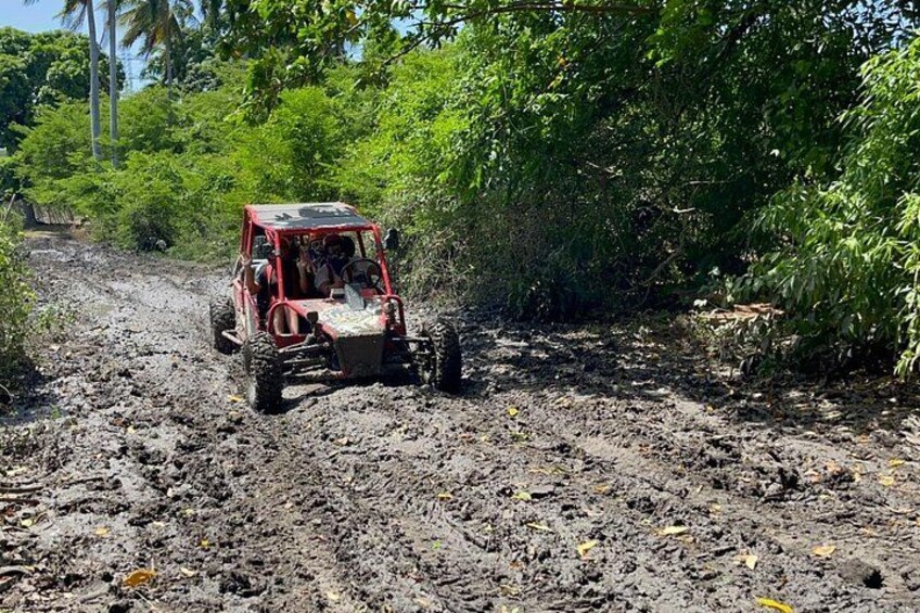 Half-Day Buggy Guided Adventure for Amber Cove and Taino Bay 4