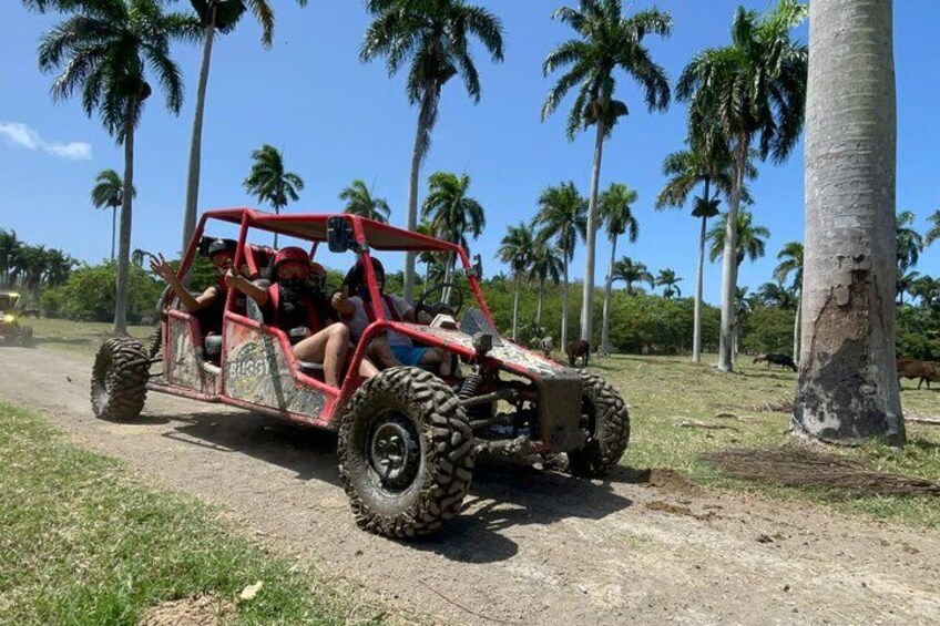 A red off-road vehicle on a dirt path with palm trees in the background. 4