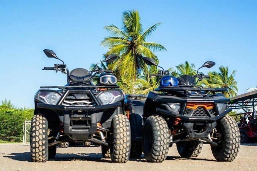 Due veicoli ATV parcheggiati su una strada, con palme sullo sfondo. 4