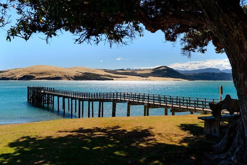 A wooden pier extending into a calm lake, surrounded by grassy areas and a large tree. 4