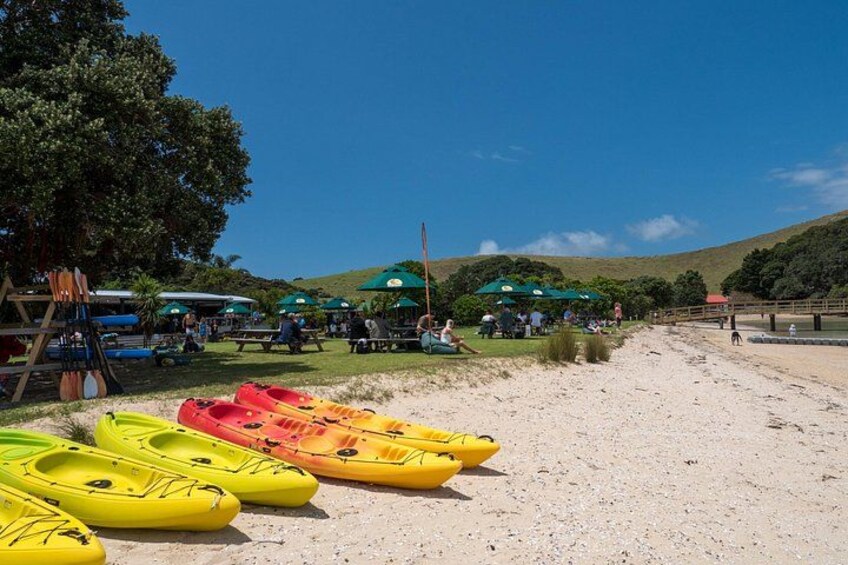 A beach with kayaks lined up, picnic tables, and people under umbrellas. 2
