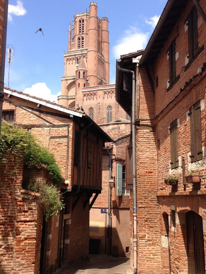 Albi, Cordés-sur-ciel & Gaillac : Day trip from Toulouse