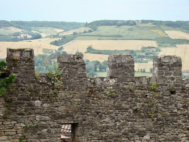 Albi, Cordés-sur-ciel & Gaillac : Day trip from Toulouse