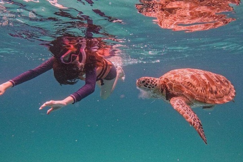 Pulau Redang Snorkeling and Island Hopping Full Day Tour 1