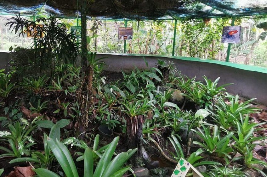 Un jardín con diversas plantas y un cartel. 3