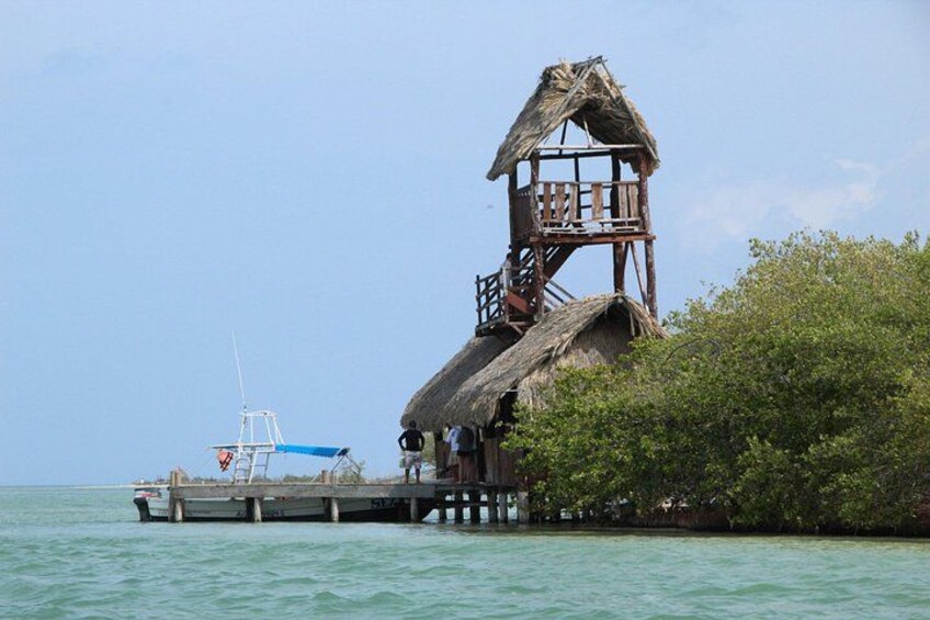 Exclusive Full Day Nature Expedition to Holbox Island Cancun 4
