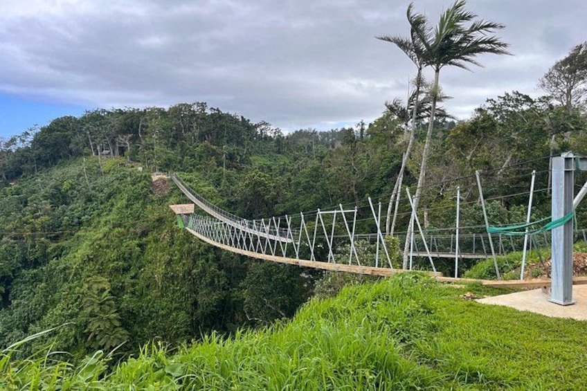Un pont suspendu dans une zone boisée luxuriante et verdoyante, sous un ciel nuageux. 3