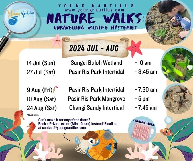 Young Nautilus Nature Walks: Unravelling Wildlife Mysteries