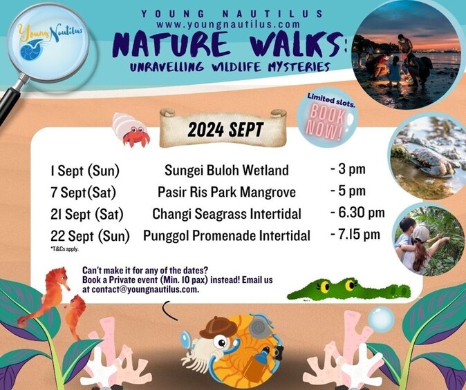 Young Nautilus Nature Walks: Unravelling Wildlife Mysteries