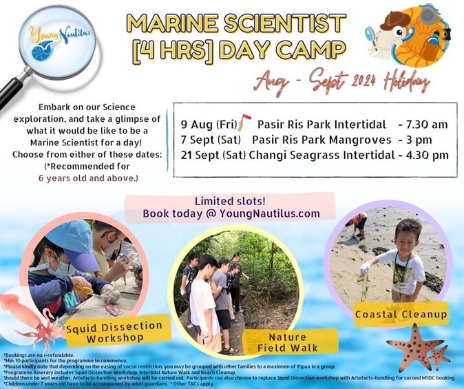 Young Nautilus Nature Walks: Unravelling Wildlife Mysteries