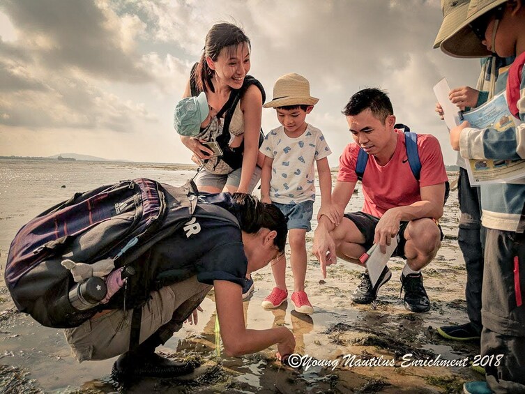 Young Nautilus Nature Walks: Unravelling Wildlife Mysteries