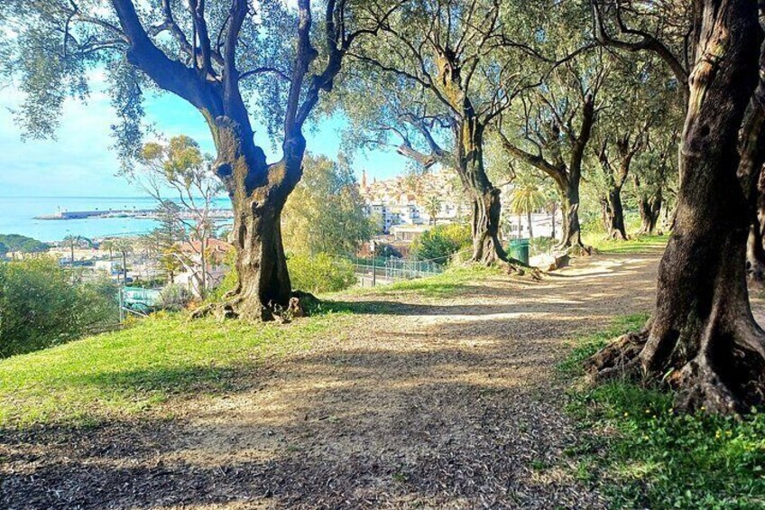 A park with a dirt path, trees, and a view of a body of water and buildings in the distance. 1