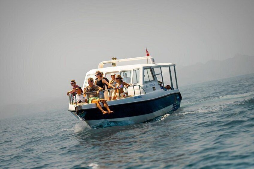 Dolphin Watching 3