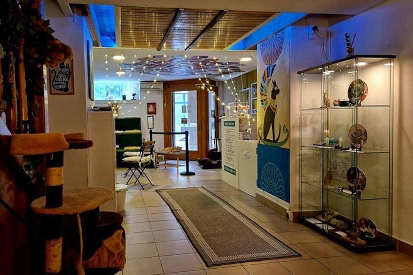 Un interior acogedor con un rascador para gatos, una vitrina con objetos y un mural en la pared. 2