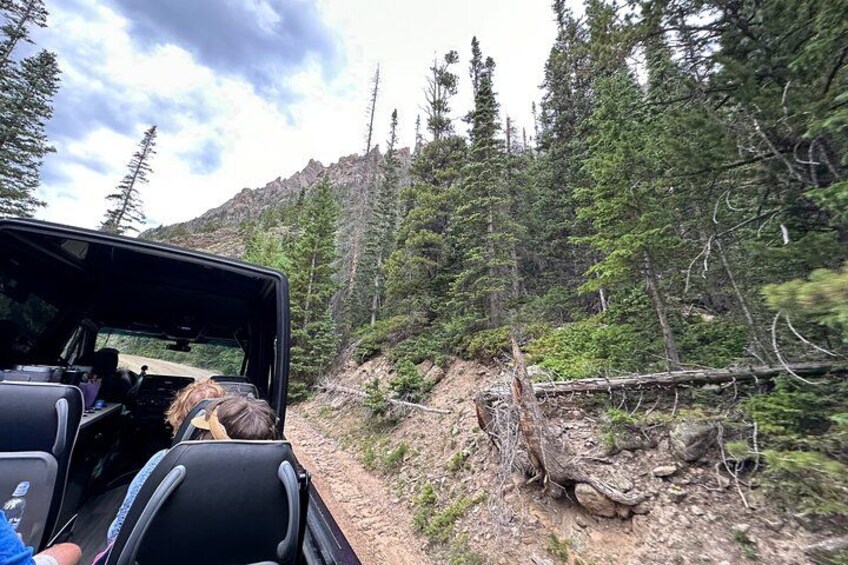 Retractable Glass Top Tours of RMNP by Purple Points Tour Company 5