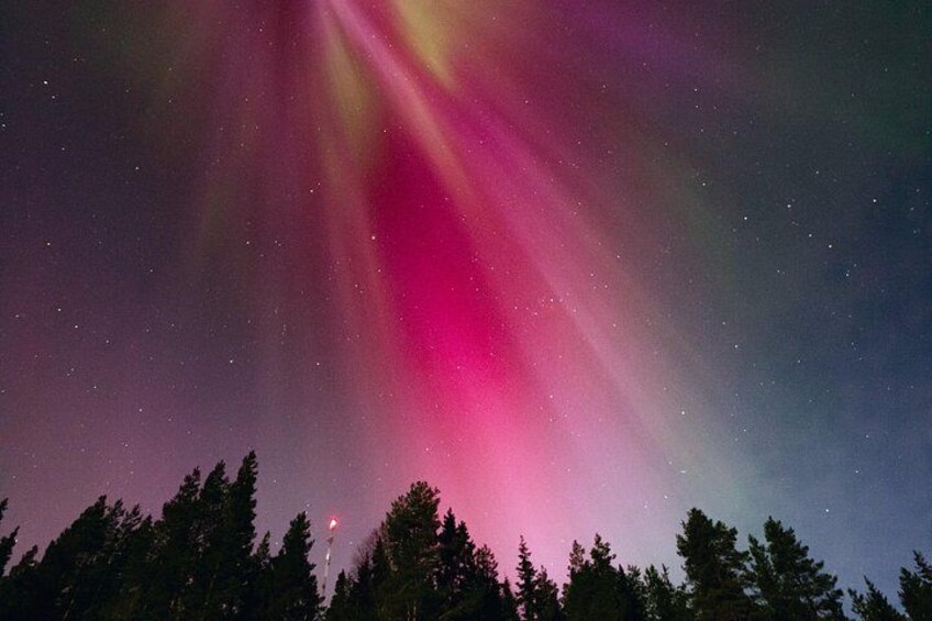 La aurora boreal sobre un paisaje boscoso. 2