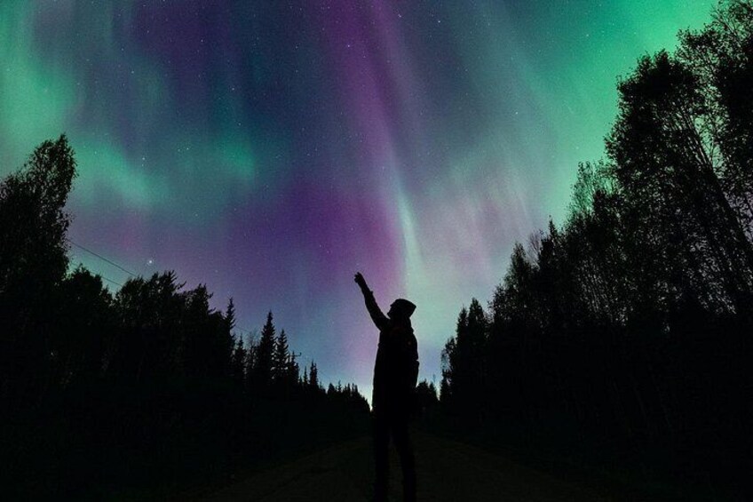Una persona silueteada contra una aurora boreal vibrante sobre un paisaje boscoso. 4
