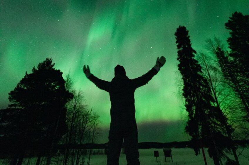 Una persona de perfil, con los brazos levantados, recortada contra un cielo nocturno con auroras boreales verdes. 3