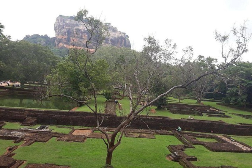 Terraced fields, a large rock formation, and a tree in a park. 4