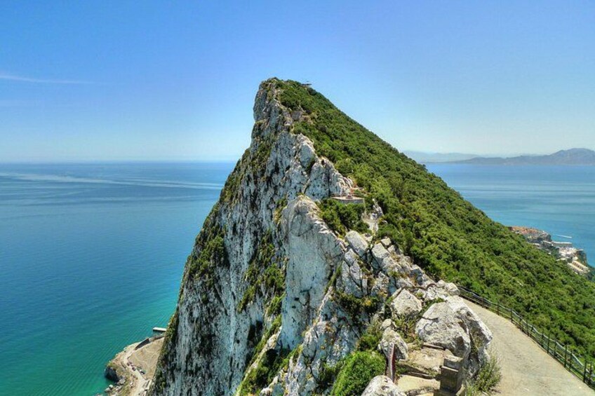 Full Day Private Shore Tour in Gibraltar from Gibraltar Port 4