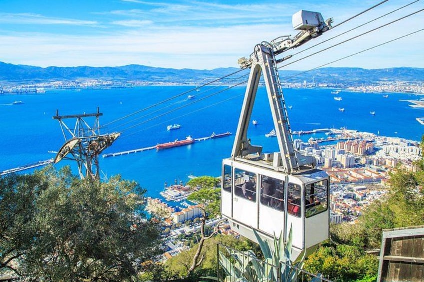 Full Day Private Shore Tour in Gibraltar from Gibraltar Port 3