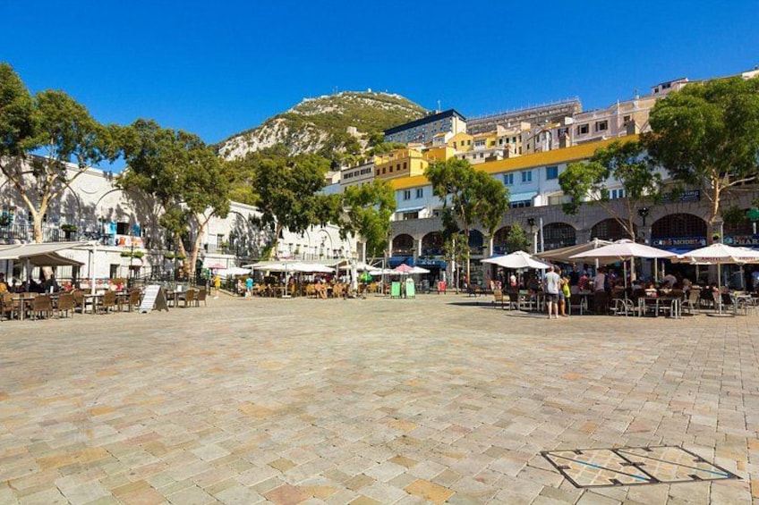 Full Day Private Shore Tour in Gibraltar from Gibraltar Port 2