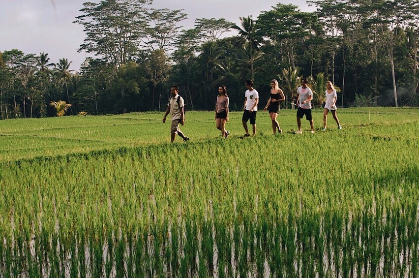 Tropical Trekking