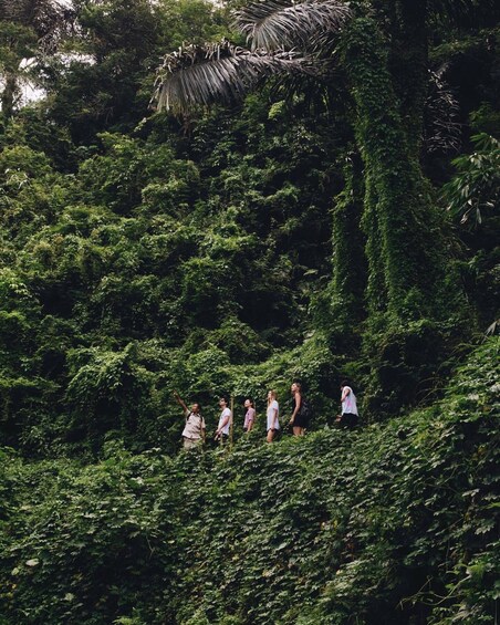 Tropical Trekking