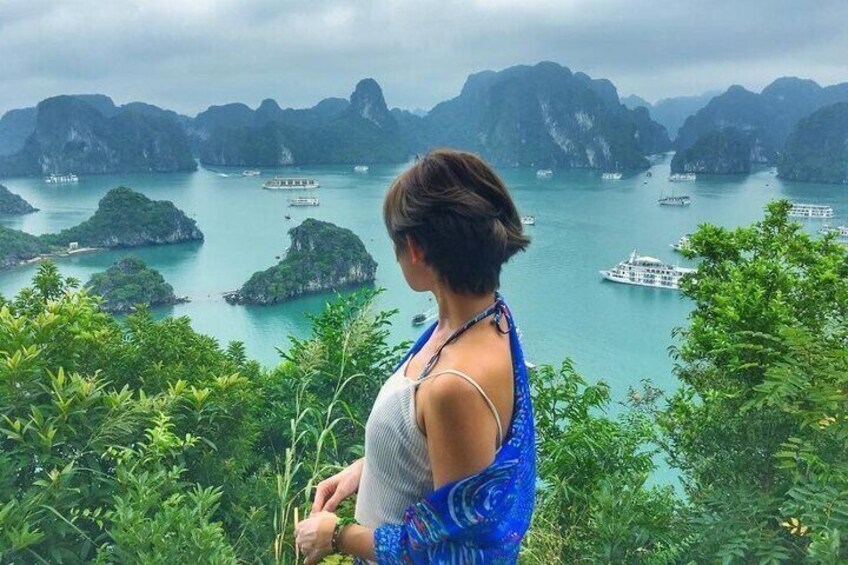 A person overlooking a coastal landscape with boats and lush greenery. 4