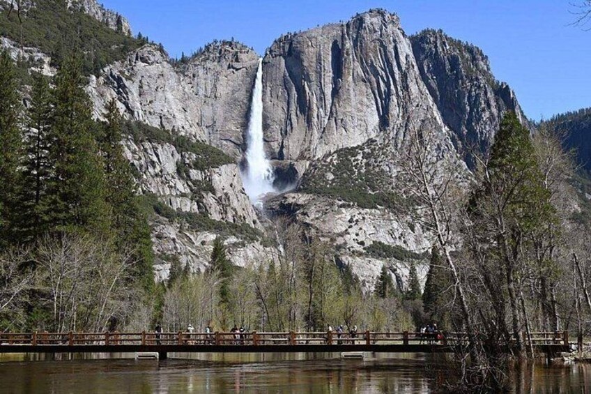 Una cascada se precipita por un acantilado rocoso, rodeada de árboles y un puente. 5