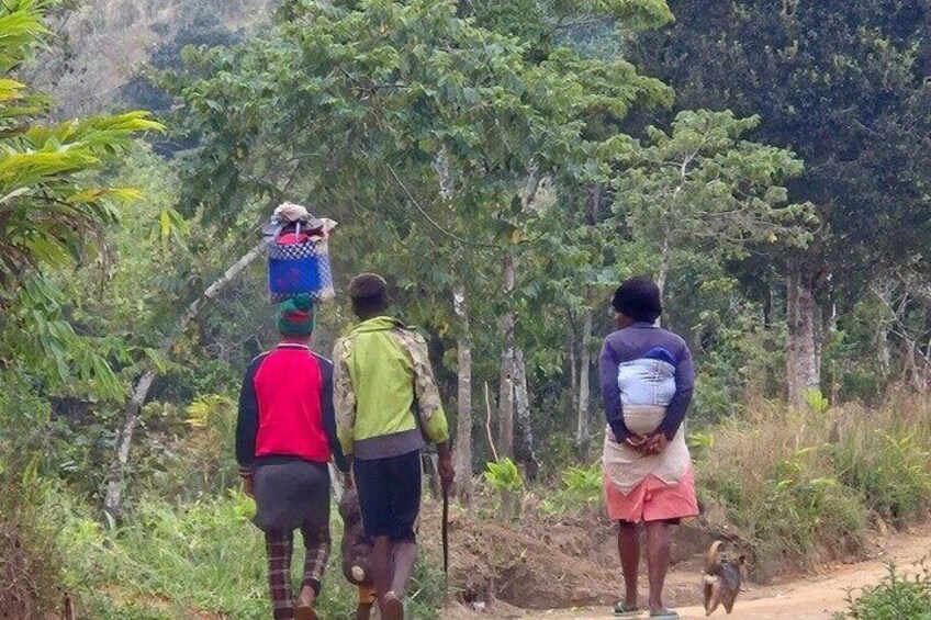 Three people walking on a dirt path surrounded by dense greenery. 2