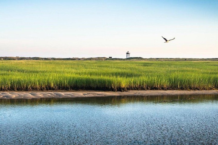 A calm river, green vegetation, and a lighthouse in the distance. 1