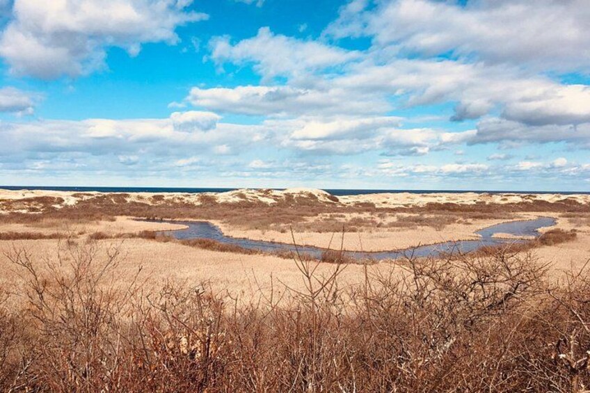 A coastal landscape with sand dunes, a water body, and sparse vegetation. 3