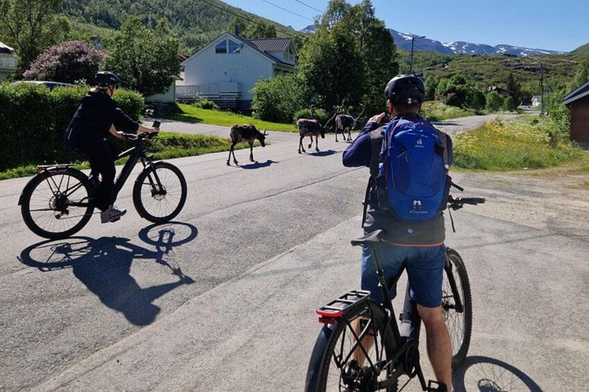 Fjord Sightseeing on Kvaløya With E-Bike 4