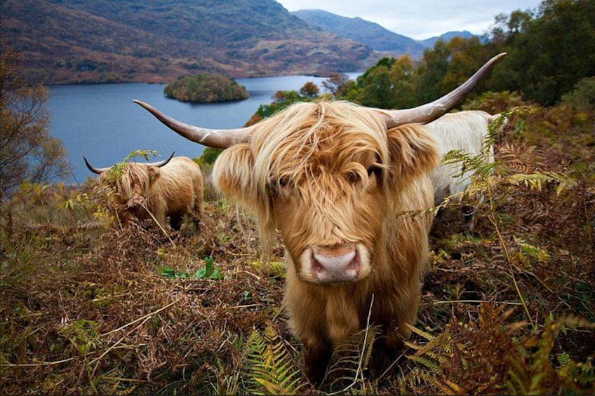 Photo by our guide Phil Crowder 1