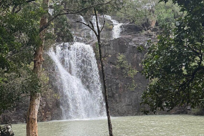 A waterfall cascading over rocks into a pool surrounded by trees. 1