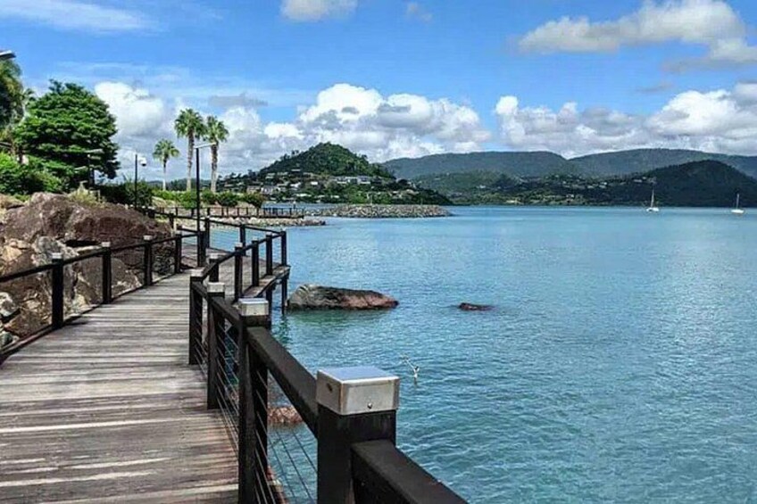 Airlie Beach: Small Group Half Day Hinterland Sightseeing Tour 5